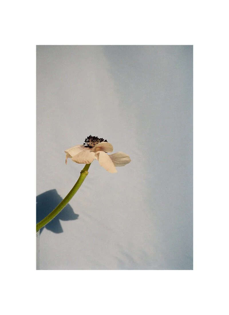 תמונה ממוזערת 2